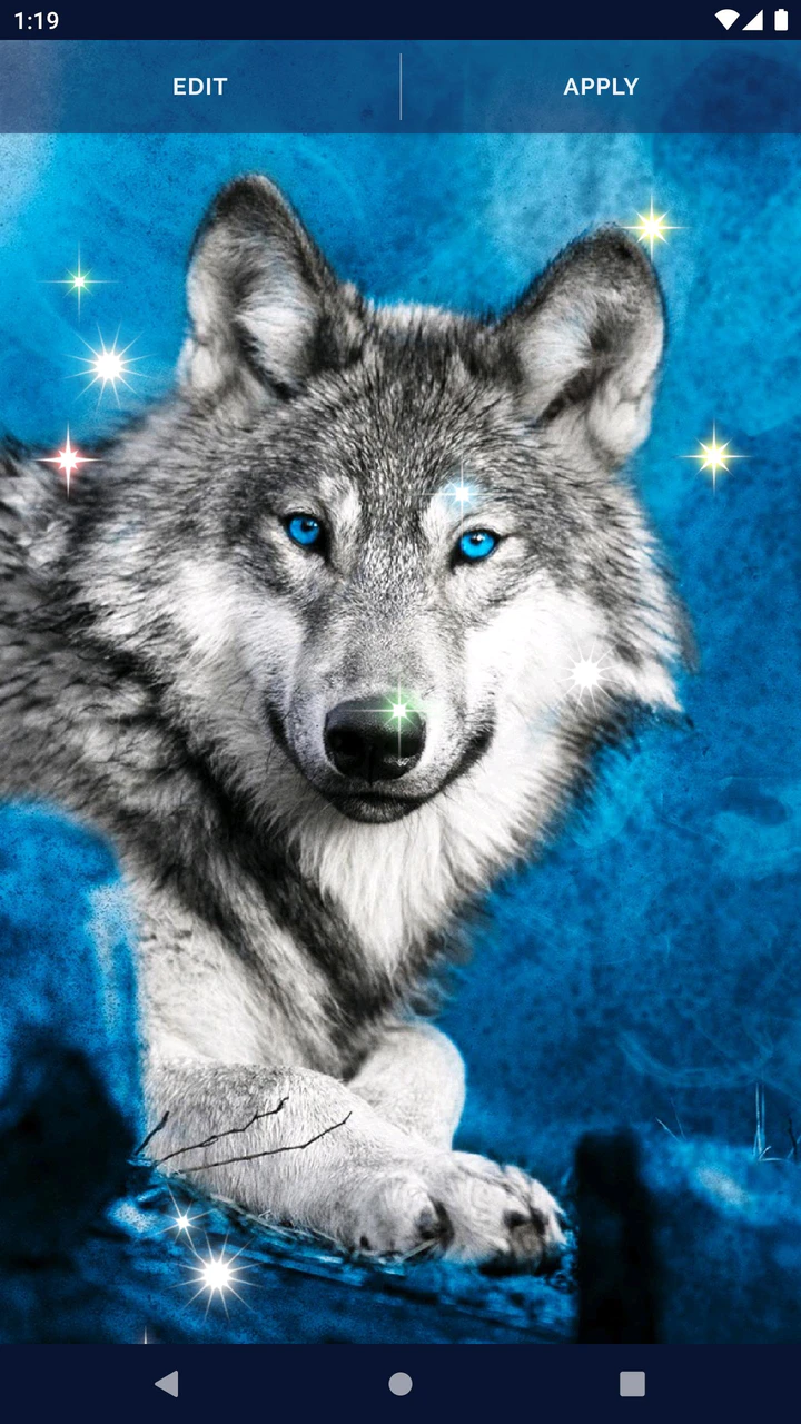 Arctic Wolf Live Wallpaper APK Download 2023  Free  9Apps