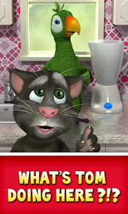 Talking Pierre the Parrot MOD APK 3.7.0.122 (Unlimited Money)_modkill.com