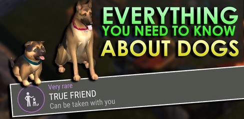How to get a dog and doggie tips in Last Day On Earth: Survival - modkill.com