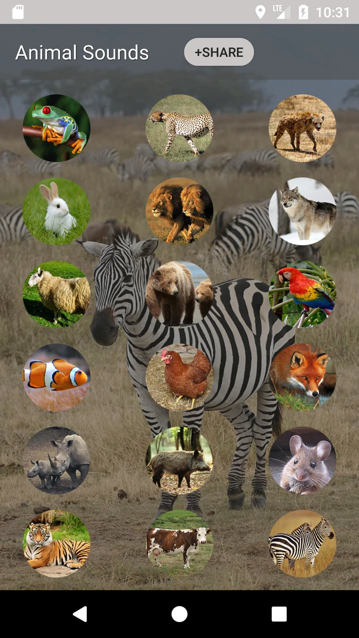 Download Animal sounds and Ringtone APK For Android Download Animal sounds and Ringtone APK For Android
