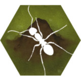 Download Finally Ants v2.51 for Android