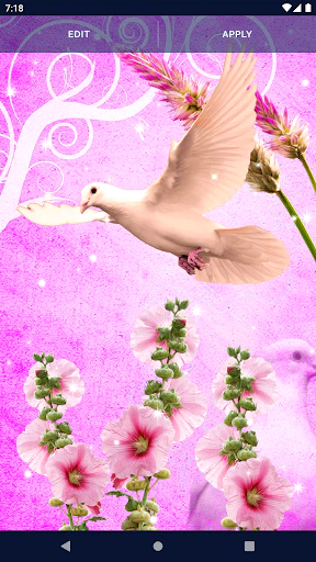 Download Dove Romantic Live Wallpaper MOD APK for Android Download Dove Romantic Live Wallpaper MOD APK for Android