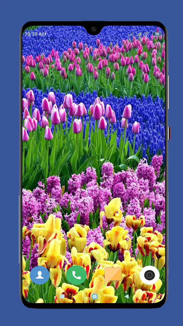 Download Free Android Wallpaper Spring  4304  MobileSMSPKnet