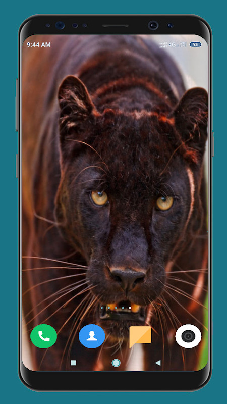 Black Panther HD Wallpaper‏