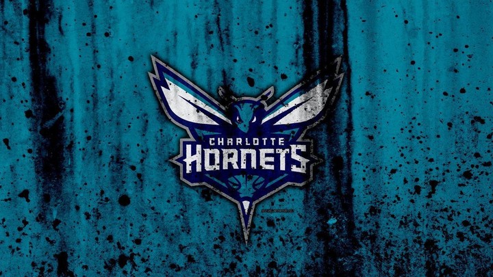 Charlotte Hornets 4k wallpaper