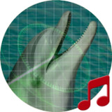 海洋聲納的聲音〜Sboard. mod apk 1.1.3 (無廣告)