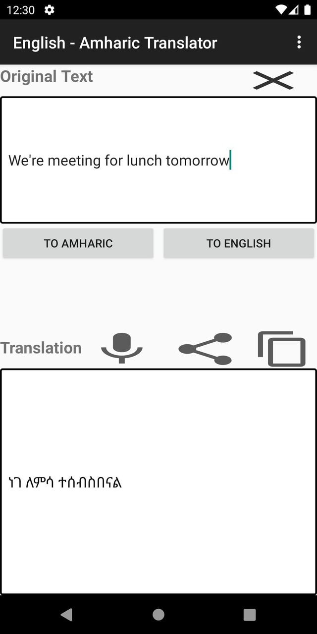 English - Amharic Translator