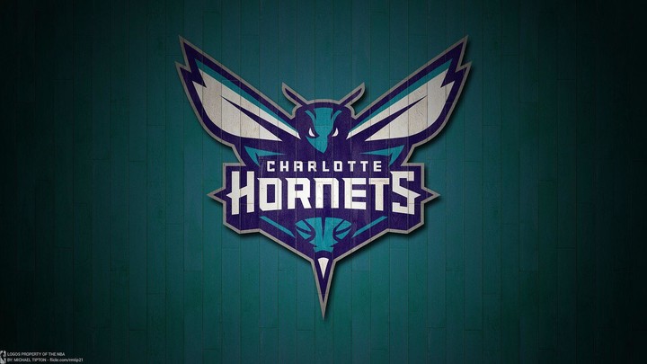 Charlotte Hornets 4k wallpaper