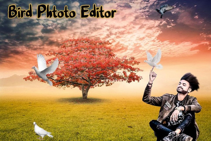 Bird Photo Editor