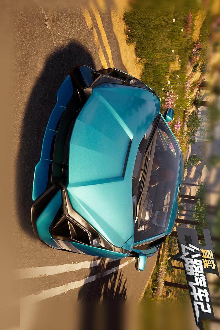 真实公路汽车2