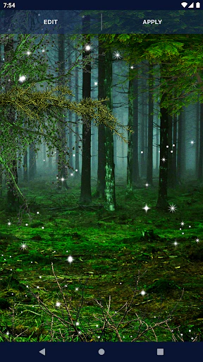 Download Forest Live Wallpaper MOD APK for Android Download Forest Live Wallpaper MOD APK for Android