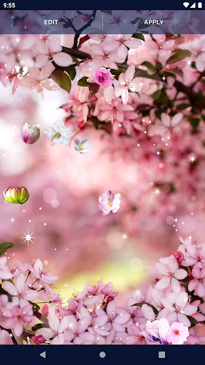 Download Cherry Blossom Live Wallpaper MOD APK  for Android
