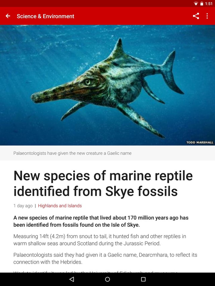 BBC News_modkill.com