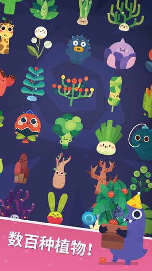 Pocket Plants