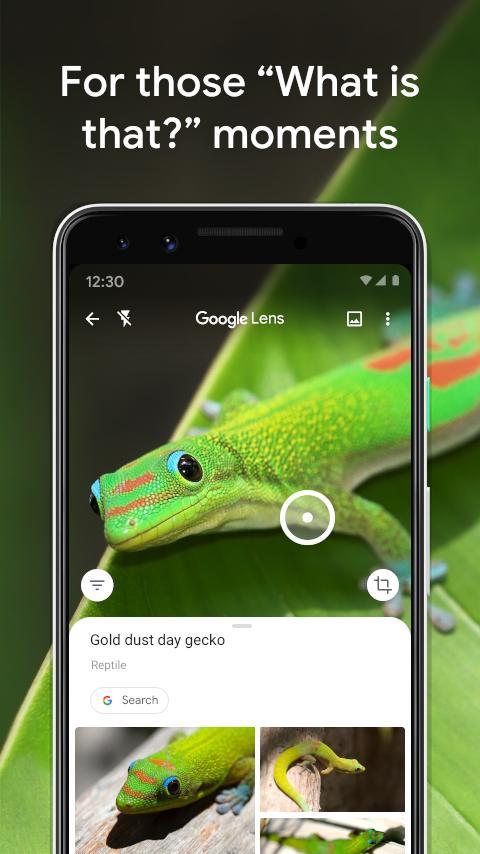 Google Lens_playmods.games