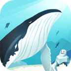 Free download HELLO WHALE : IDLE AQUARIUM(You don\’t have to watch ads to get rewards) v1.39 for Android