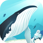 Download HELLO WHALE : IDLE AQUARIUM(You don\’t have to watch ads to get rewards) v1.39 for Android
