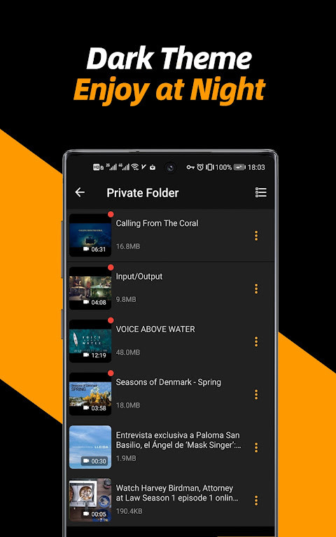 Video Downloader & Video Saver(Premium Unlocked) screenshot image 15_modkill.com