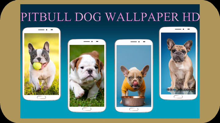 Download Pitbull Dog Wallpaper MOD APK  for Android