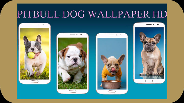 Download Pitbull Dog Wallpaper MOD APK for Android Download Pitbull Dog Wallpaper MOD APK for Android