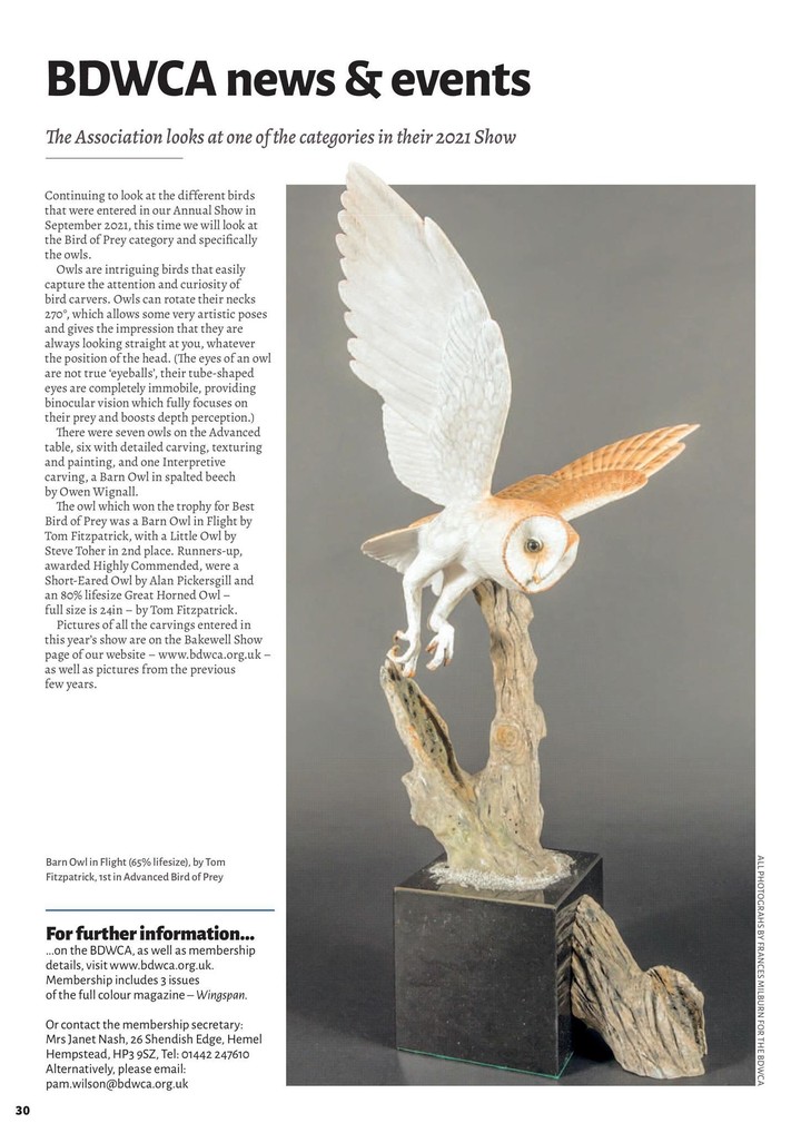 Woodcarving Magazine