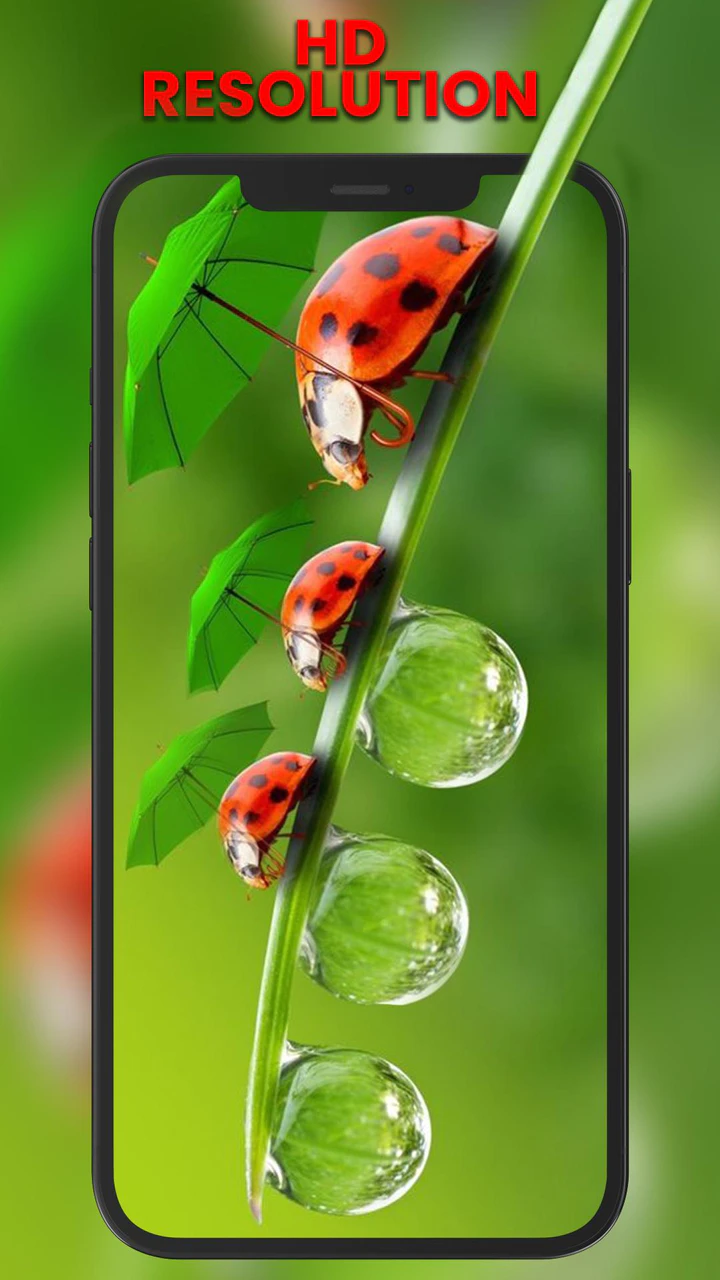 Download 4K Live Video wallpaper MOD APK  for Android
