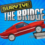 Survive The Bridge