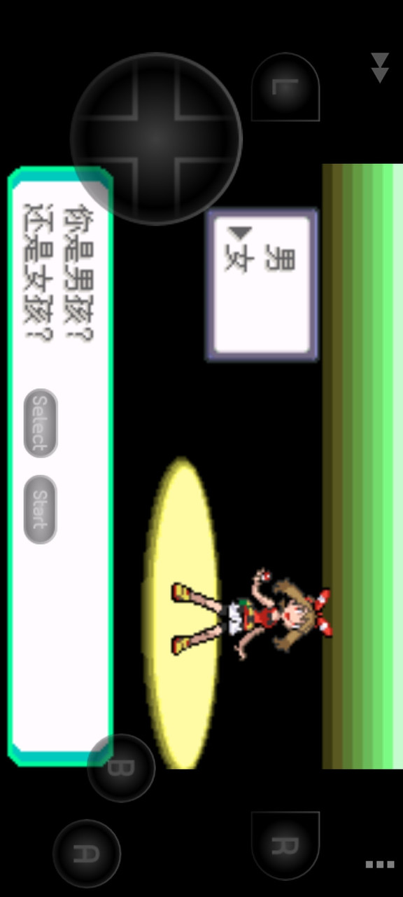 口袋妖怪暗影归来2.0(Game porting) screenshot image 3