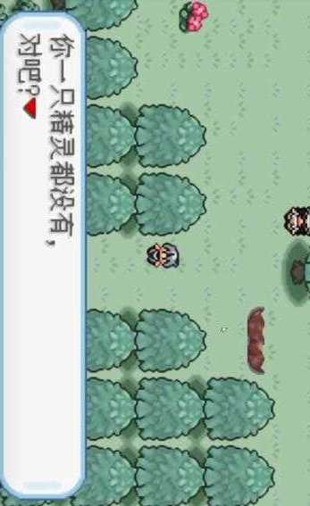 Pokemon: nameless(GBA game transplantation.) screenshot