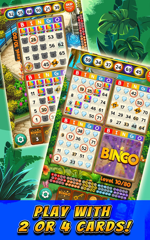Bingo Quest: Summer Adventure