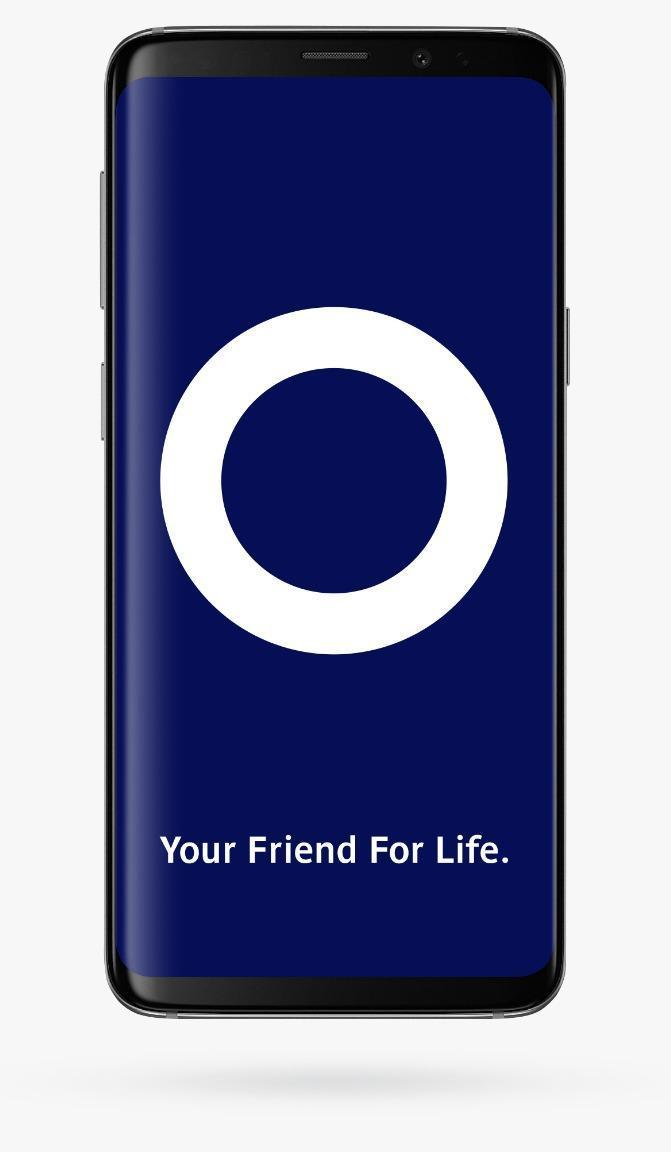 LOUIE VOICE CONTROL: Assistant