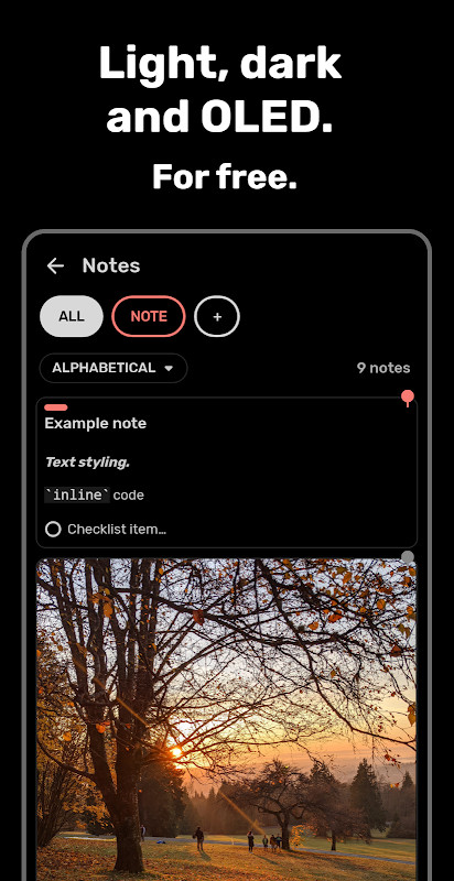 Bundled Notes + Lists + To-do‏