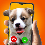 InCall Caller_playmods.net