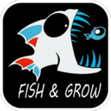 Feed and Grow: Fish(Mod Menu)(Mod)1.1_playmod.games