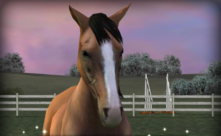 My Horse(Бесплатный шоппинг) screenshot image 2