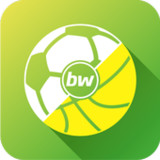 BetsWall Football Betting Tips(Official)1.98_playmod.games