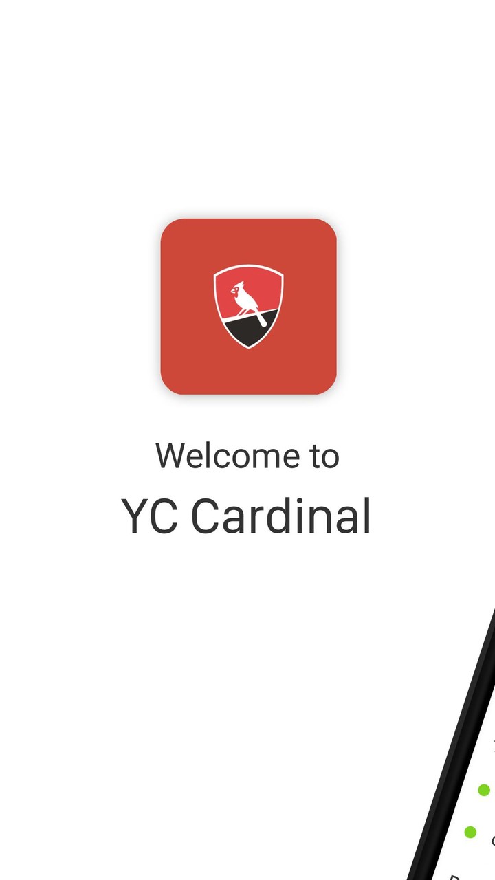 York College Cardinal, CUNY