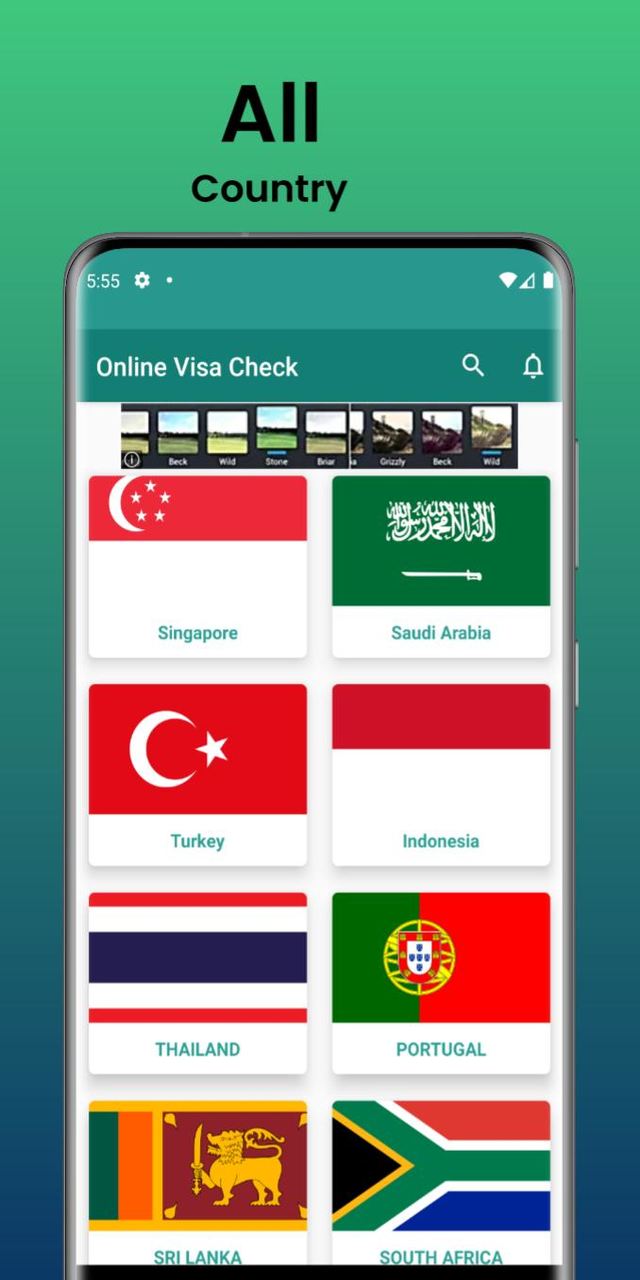 Visa Check All Country Ảnh chụp màn hình trò chơi
