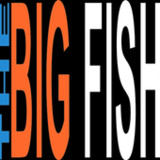 Download The Big Fish MOD APK v10.1 For Android