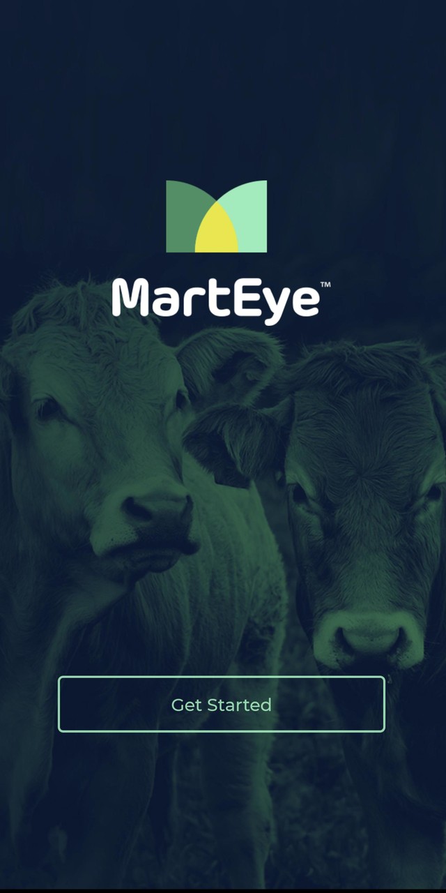 MartEye