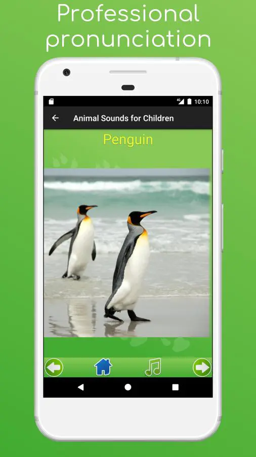 Download Animals for Kids APK  For Android