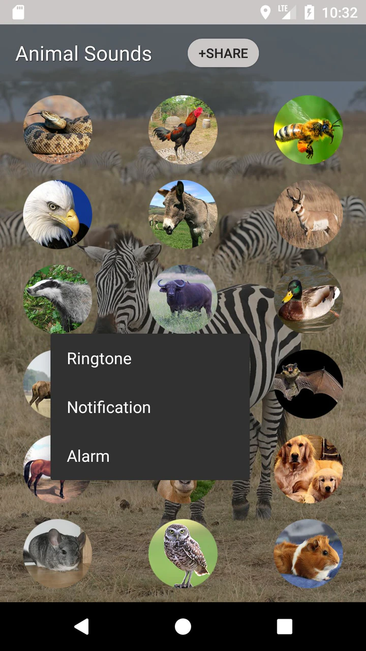Download Animal sounds and Ringtone APK  For Android