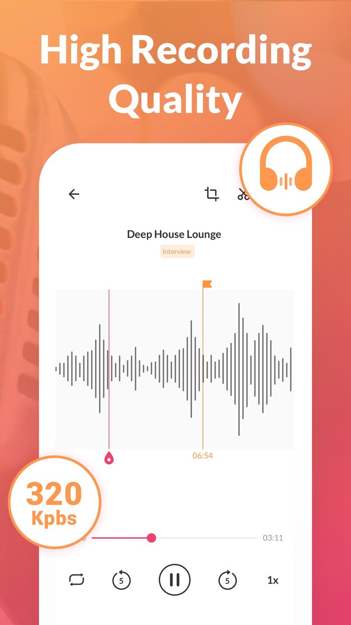 Диктофон - аудио приложение(Pro-функции разблокированы) screenshot image 1