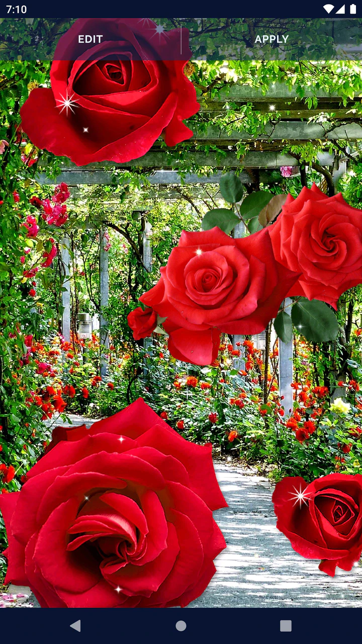 Download 3D Red Rose Live Wallpaper MOD APK  for Android