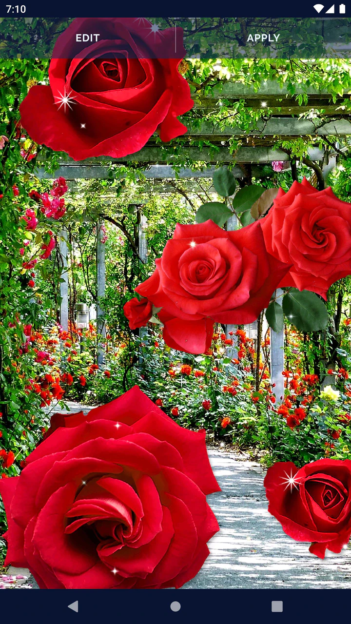 Download 3D Red Rose Live Wallpaper MOD APK for Android Download 3D Red Rose Live Wallpaper MOD APK for Android