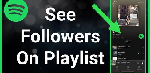 How to See Who Follows Your Spotify Playlist - playmods.games