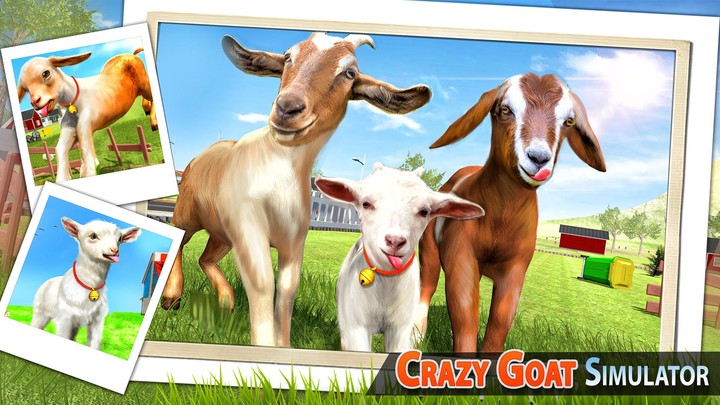 Crazy Goat Simulator 3D_playmods.games