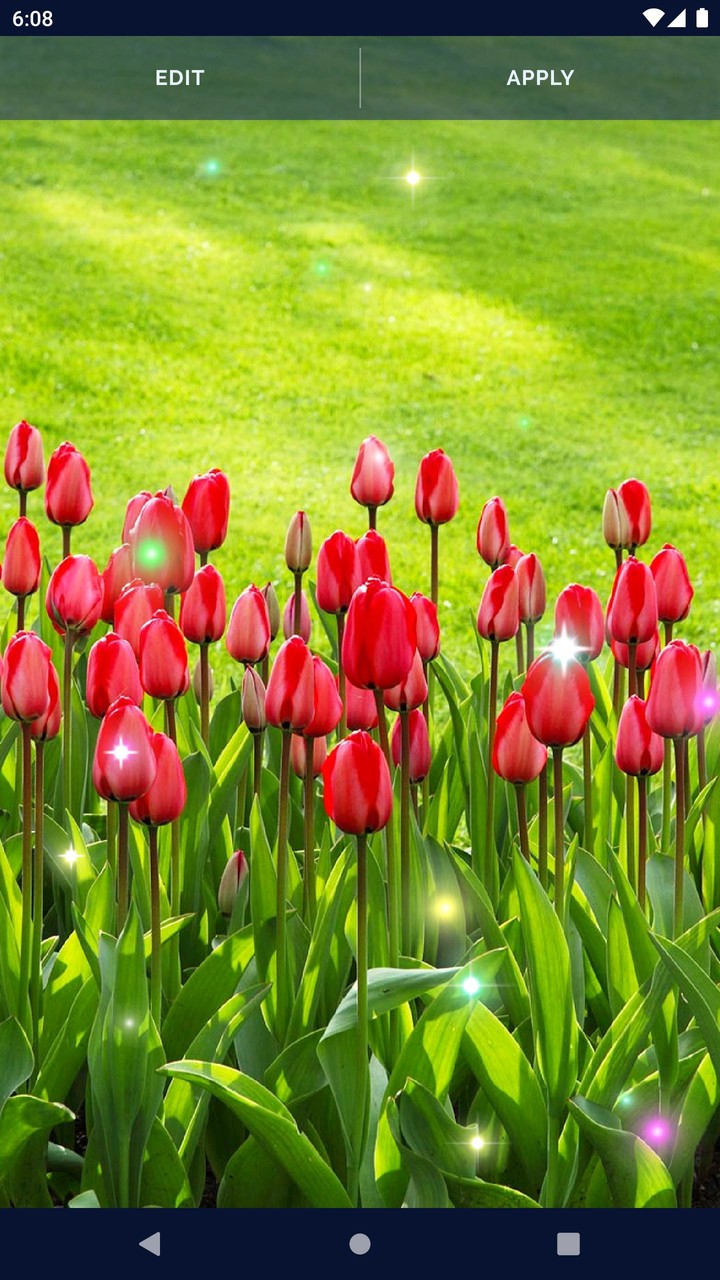 Green Spring Live Wallpaper