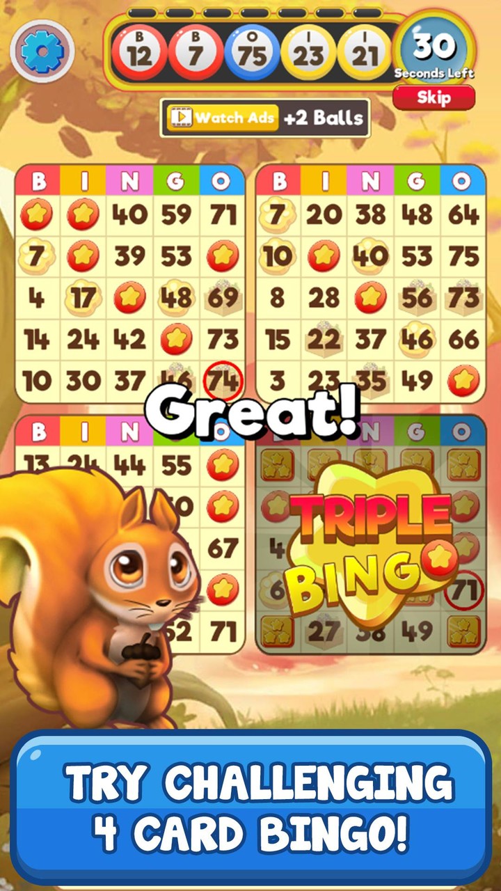Bingo Pet Rescue