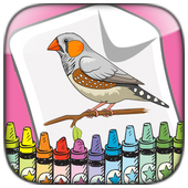 Birds Coloring Book for Adults-Birds Coloring Book for Adults